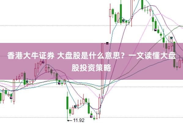 香港大牛证券 大盘股是什么意思？一文读懂大盘股投资策略