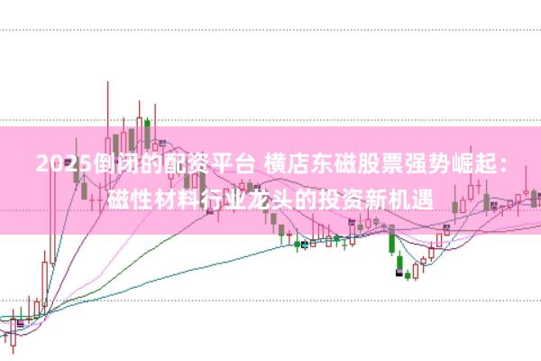 2025倒闭的配资平台 横店东磁股票强势崛起：磁性材料行业龙头的投资新机遇