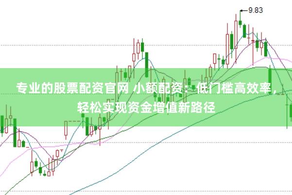 专业的股票配资官网 小额配资：低门槛高效率，轻松实现资金增值新路径
