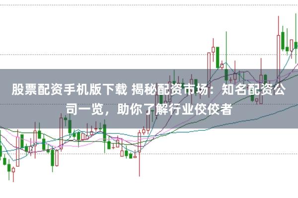 股票配资手机版下载 揭秘配资市场：知名配资公司一览，助你了解行业佼佼者