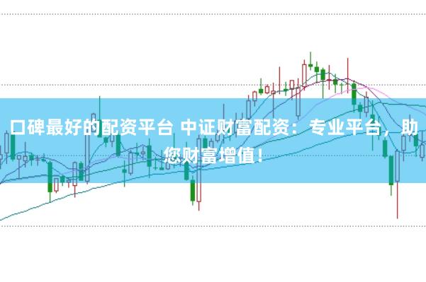 口碑最好的配资平台 中证财富配资：专业平台，助您财富增值！