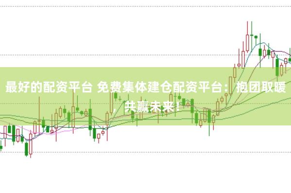 最好的配资平台 免费集体建仓配资平台：抱团取暖，共赢未来！