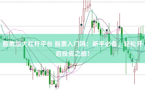 股票加大杠杆平台 股票入门网：新手必备，轻松开启投资之旅！