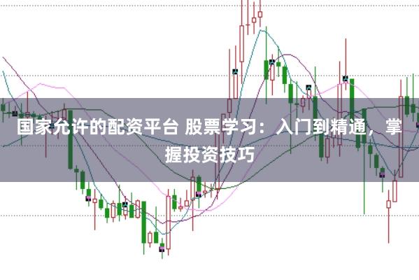 国家允许的配资平台 股票学习：入门到精通，掌握投资技巧