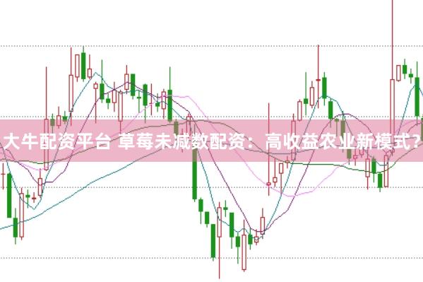 大牛配资平台 草莓未减数配资：高收益农业新模式？