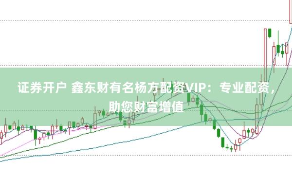证券开户 鑫东财有名杨方配资VIP：专业配资，助您财富增值