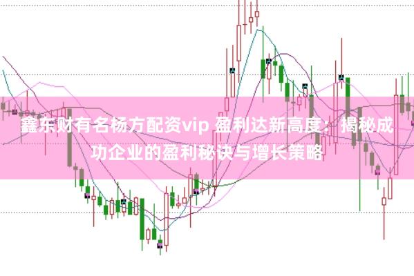 鑫东财有名杨方配资vip 盈利达新高度：揭秘成功企业的盈利秘诀与增长策略