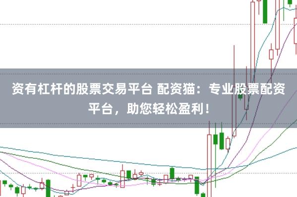 资有杠杆的股票交易平台 配资猫：专业股票配资平台，助您轻松盈利！
