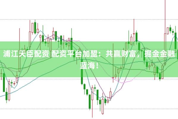 浦江天臣配资 配资平台加盟：共赢财富，掘金金融蓝海！
