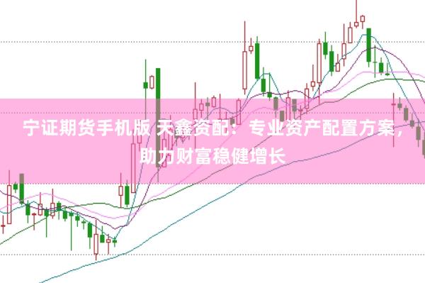 宁证期货手机版 天鑫资配：专业资产配置方案，助力财富稳健增长