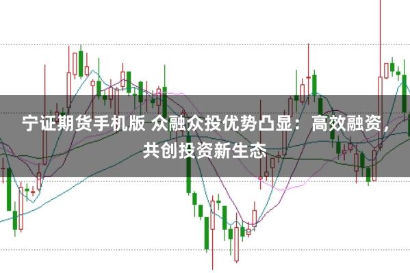 宁证期货手机版 众融众投优势凸显：高效融资，共创投资新生态