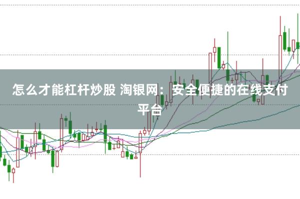 怎么才能杠杆炒股 淘银网：安全便捷的在线支付平台
