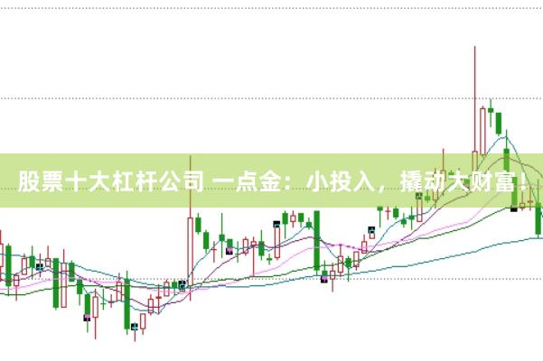 股票十大杠杆公司 一点金：小投入，撬动大财富！
