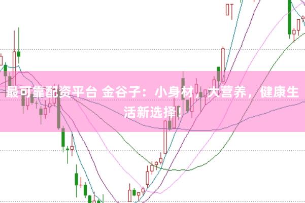 最可靠配资平台 金谷子：小身材，大营养，健康生活新选择！