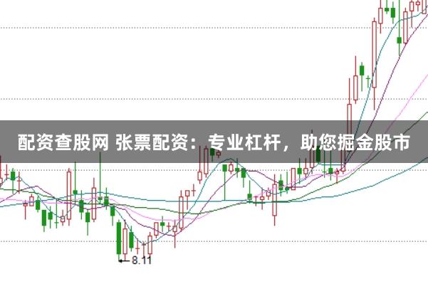 配资查股网 张票配资：专业杠杆，助您掘金股市