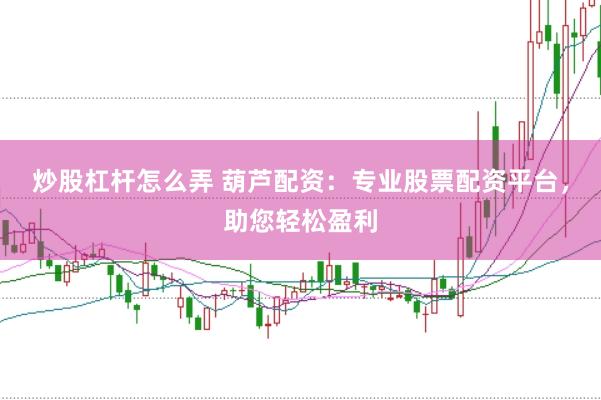 炒股杠杆怎么弄 葫芦配资：专业股票配资平台，助您轻松盈利