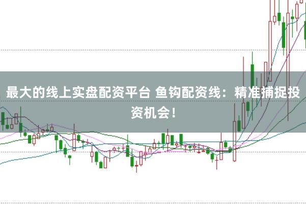 最大的线上实盘配资平台 鱼钩配资线：精准捕捉投资机会！