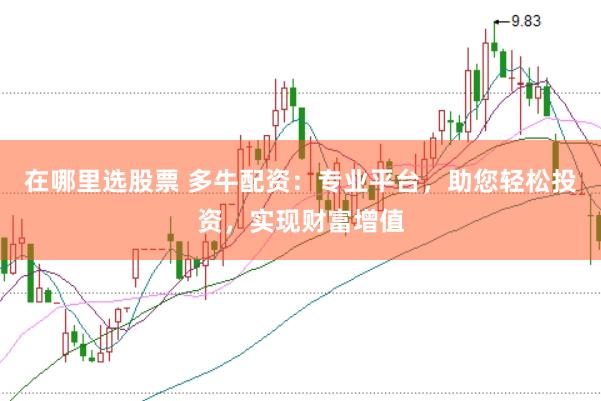 在哪里选股票 多牛配资：专业平台，助您轻松投资，实现财富增值