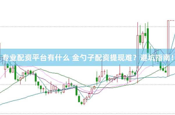 专业配资平台有什么 金勺子配资提现难？避坑指南！
