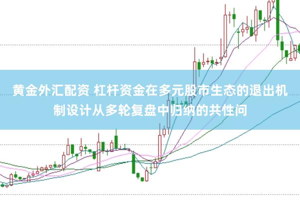 黄金外汇配资 杠杆资金在多元股市生态的退出机制设计从多轮复盘中归纳的共性问